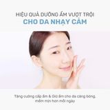 Nước hoa hồng cấp ẩm và làm dịu da ROUND LAB 1025 Dokdo Toner