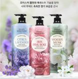 Sữa tắm nước hoa On: The Body Daily Moisture Perfume Body Wash 1100ml
