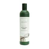 Gội xả gừng kích thích mọc tóc Weilaiya Hair Strength Shampoo & Conditioner