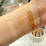 Che khuyết điểm đa năng tfit Cover Up Pro Concealer 15g
