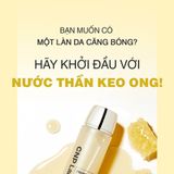 Nước dưỡng da keo ong CNP Propolis Treatment Ampule Essence