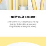 Nước dưỡng da keo ong CNP Propolis Treatment Ampule Essence