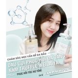Gội xả phục hồi nấm đa tầng Truffle Weilaiya Perfume Repair Series