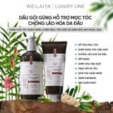 Bộ gội xả gừng ngăn ngừa lão hóa da đầu Weilaiya Luxury 420ml x 200ml (Nâu)