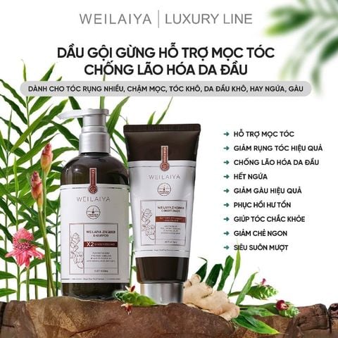 Bộ gội xả gừng ngăn ngừa lão hóa da đầu Weilaiya Luxury 420ml x 200ml (Nâu)