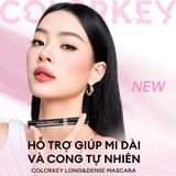 Chuốt mi kháng nước COLORKEY Long&dense Mascara 4,5g