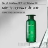 Gội xả SPES