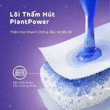 Băng vệ sinh êm ái 100% cotton Aiwina