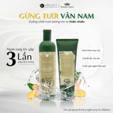 Gội xả hà thủ ô nuôi dưỡng tóc chắc khỏe Weilaiya Hair Strength Shampoo & Conditioner