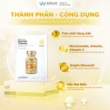 Mặt nạ dưỡng da Wonjin Concentrated Essence Mask 30g