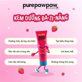 Kem dưỡng môi đa năng Pure Paw Paw Ointment 25g