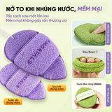 Bông rửa mặt Amortals