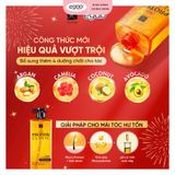 Gội xả phục hồi tóc Elastine Amino Protein Clinic 855ml