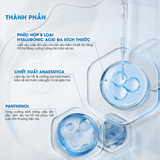 Mặt nạ siêu tinh chất DR.WONJIN Ampoule Edition Mask 27g