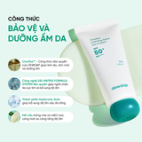 Kem chống nắng Dewdap SPF50+ PA+++ 50g