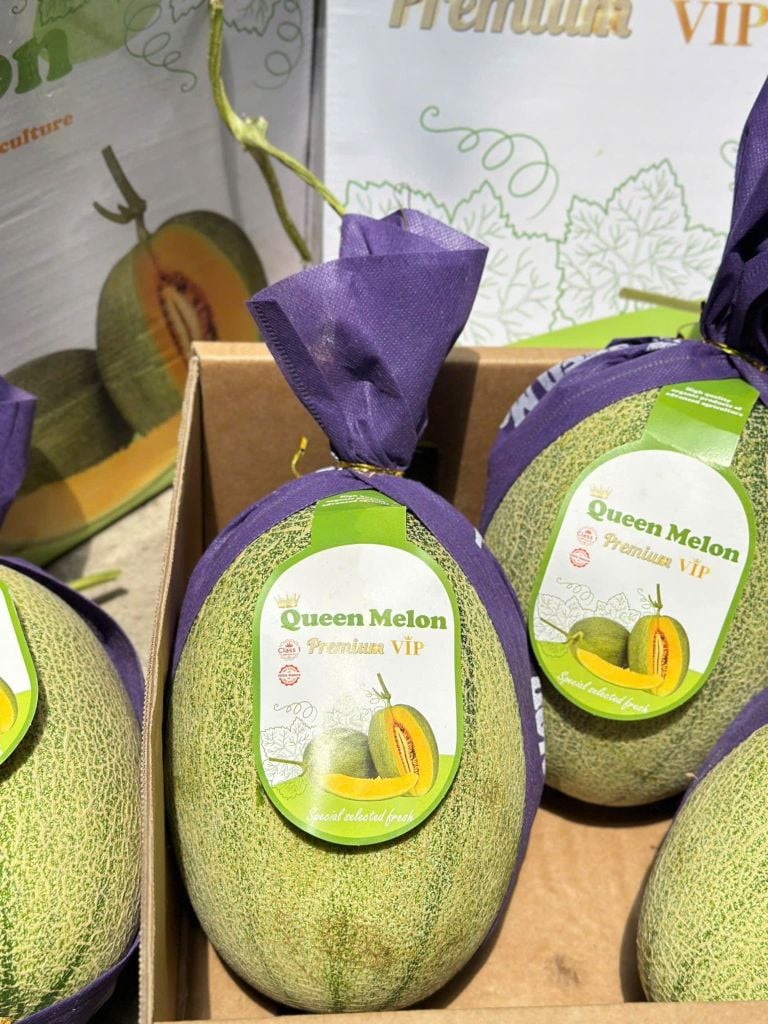 Dưa Lưới Queen