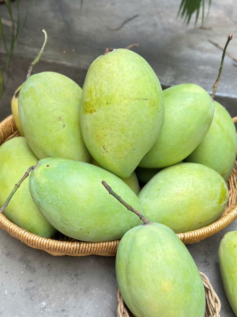 Xoài Cát Hòa Lộc