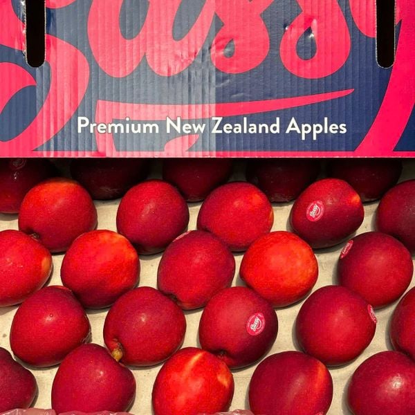 Táo Sassy NZL S100