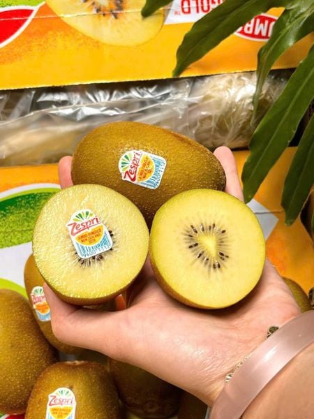 Kiwi Vàng NZL S22
