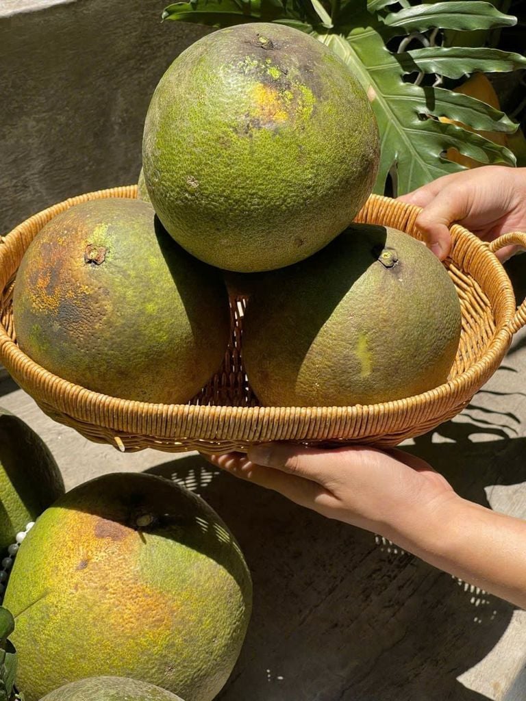 Bưởi Lão Da Xanh – Tép Mọng, Vị Thanh Mát