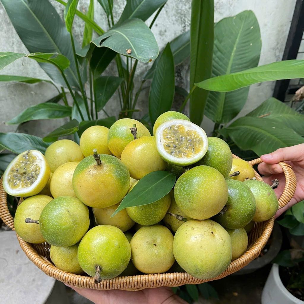 Chanh dây vàng ngọt