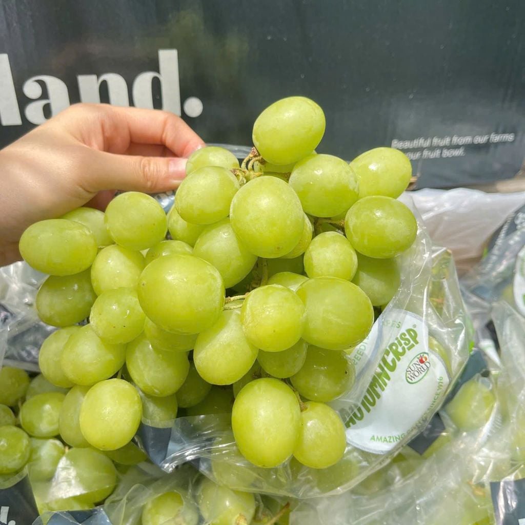 NHO XANH AUTUMN ÚC – REDLAND GRAPES