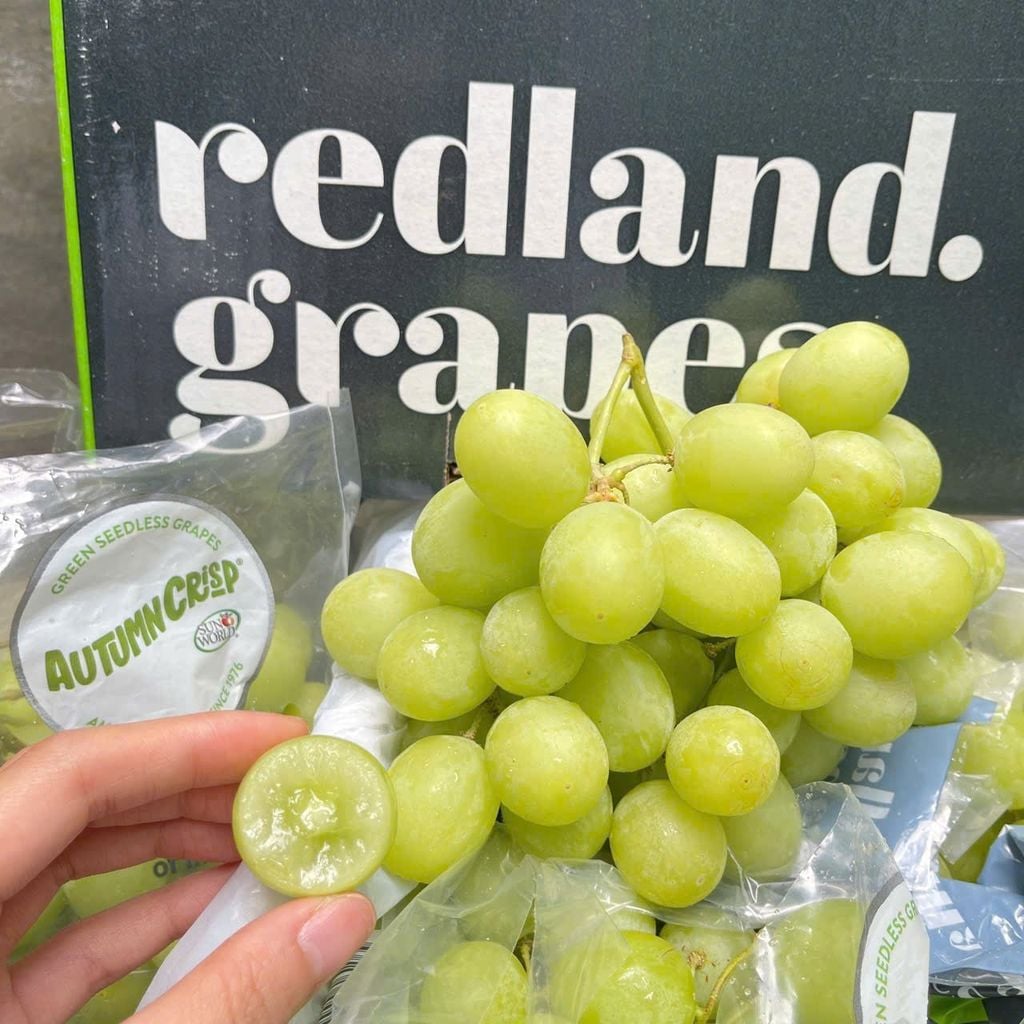 NHO XANH AUTUMN ÚC – REDLAND GRAPES