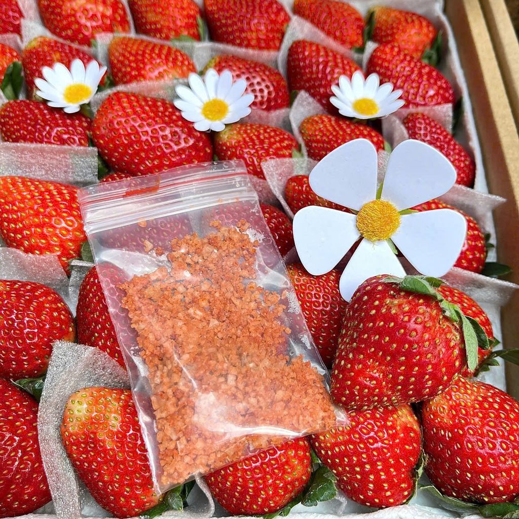 Dâu Đà Lạt Size 36