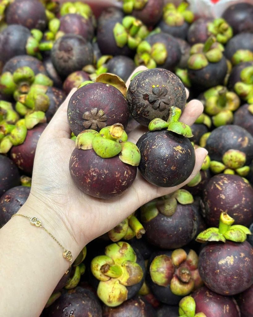Măng Cụt Bi Thái Lan