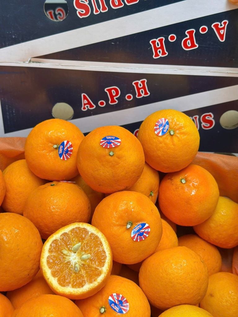 Quýt Trung – APH