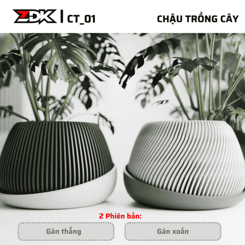 ZDK CT01