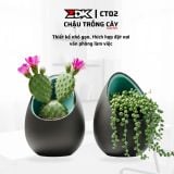 ZDK CT02