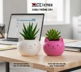 ZDK CT03