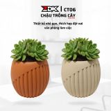ZDK CT06