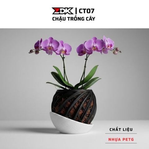 ZDK CT07