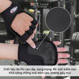 ZDK GYM1
