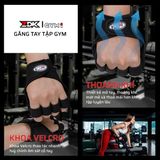 ZDK GYM1