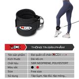 ZDK GYM2
