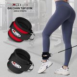 ZDK GYM2