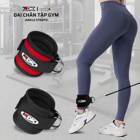 ZDK GYM2