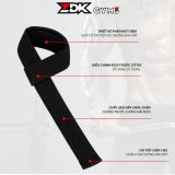 ZDK GYM3