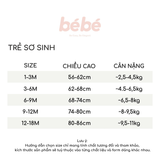 Set 3 bộ Bodysuit BéBé Tay Ngắn Cotton Supersoft Siêu Mềm Mát