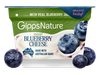  BLUEBERRY CHEESE 
