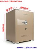  BK-50H SERIES GOLDEN 