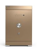  BK-68H SERIES GOLDEN 