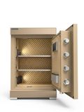  BK-68H SERIES GOLDEN 