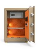  BK-60B SERIES GOLDEN 