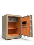  BK-60B SERIES GOLDEN 