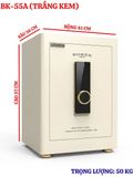  BK-55A SERIES CREAM 