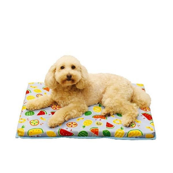 DoggyMan - Nệm Chữ Nhật Cho Thú Cưng